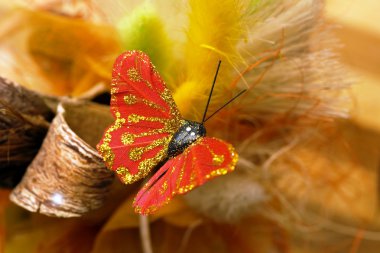 Kırmızı butterflyred kelebek