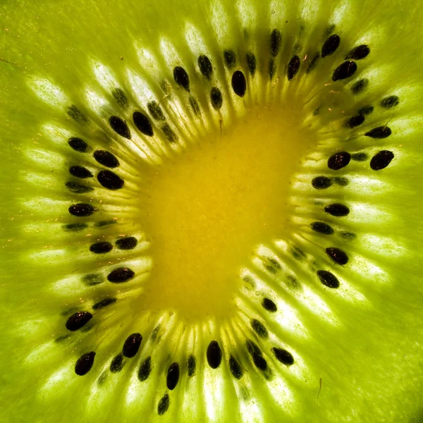 stock image Kiwi