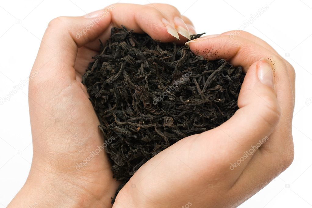 Women hands with a black tea