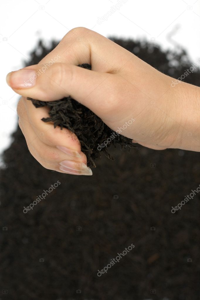 Women hands with a black tea