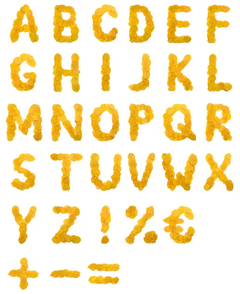 Jesień liść alfabet — Zdjęcie stockowe