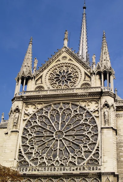 ノートルダム大聖堂、パリのロゼット — ストック写真