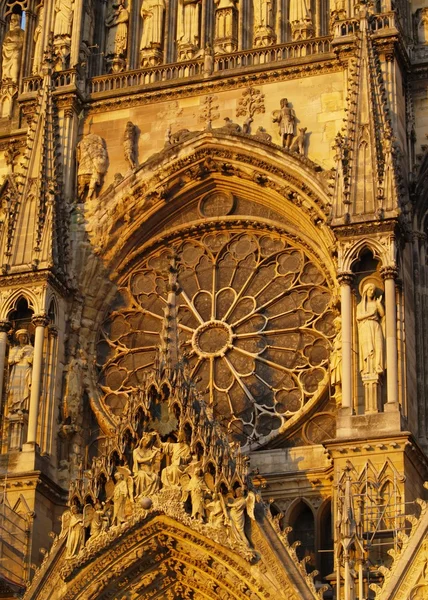 Rosette in Reims Cathedral, France — Stock Photo, Image