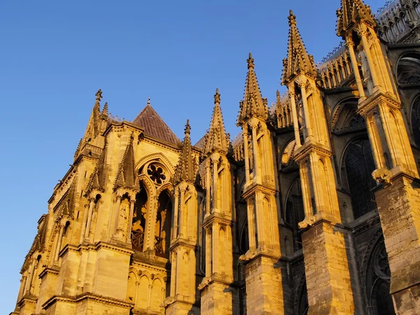 Cathédrale de Reims — Photo