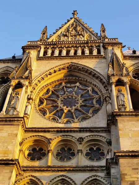 Rosett i reims katedral, Frankrike — Stockfoto
