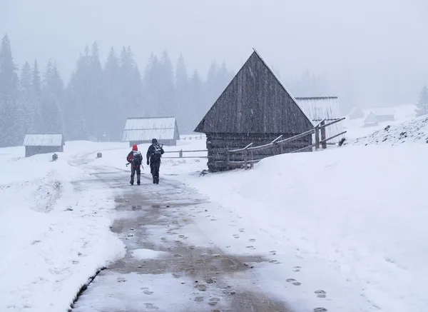 Kış aylarında trekking — Stok fotoğraf