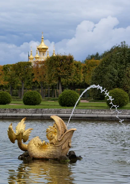 Caño de pescado en Peterhof, Rusia — Foto de Stock