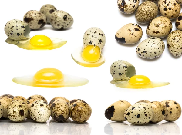 Разбитые яйца на белом фоне — стоковое фото