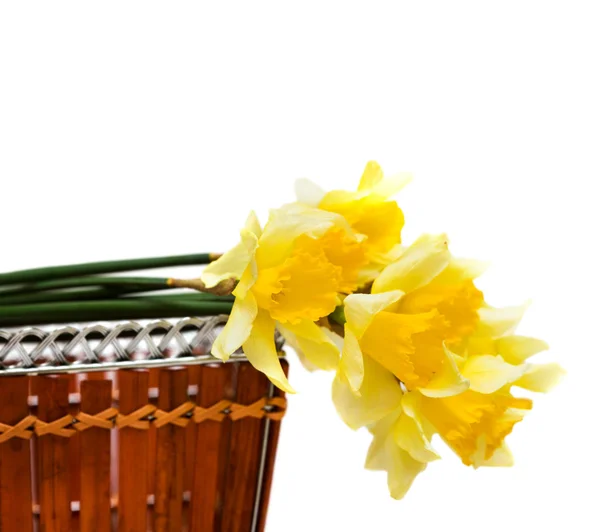 Voorjaarsbloemen in een mand — Stockfoto