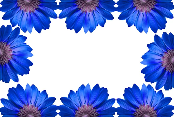 Rahmen aus blauen Blumen isoliert — Stockfoto