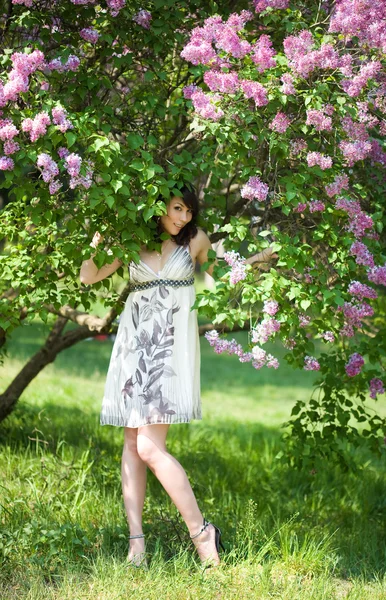 Ніжна дівчина в саду з бузком — стокове фото