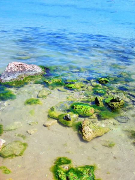 Rocks on a beach of sea — Stock Photo, Image