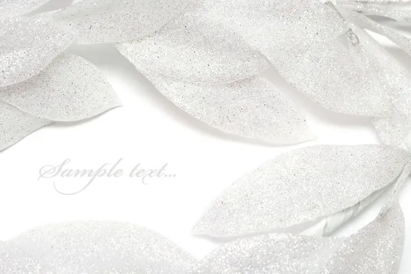 Gümüş yaprakları üzerinde beyaz izole — Stok fotoğraf