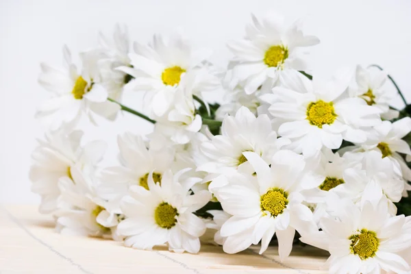 White chamomiles in grey background — Stock Photo, Image