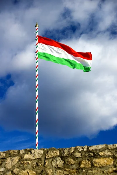 Hungarian flag Royalty Free Stock Photos