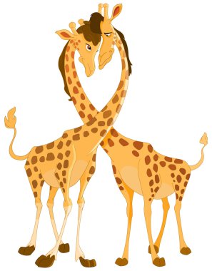 Giraffes in love clipart