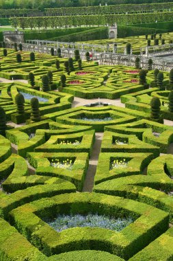 French formal garden clipart