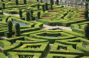 Garden from Chateau de Villandry, France