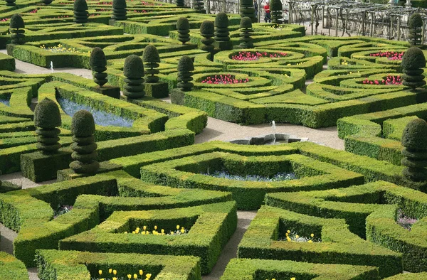 Garden from Chateau de Villandry, France — Stock Photo, Image