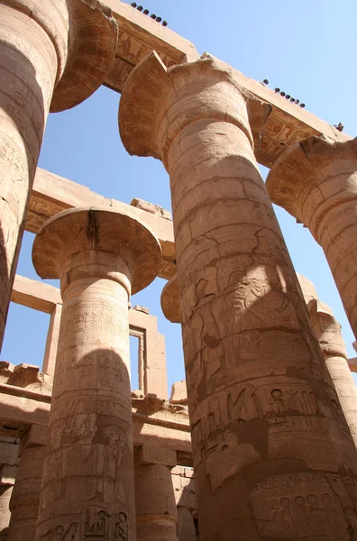 Colonnes du temple Karnak à Louxor, Égypte — Photo