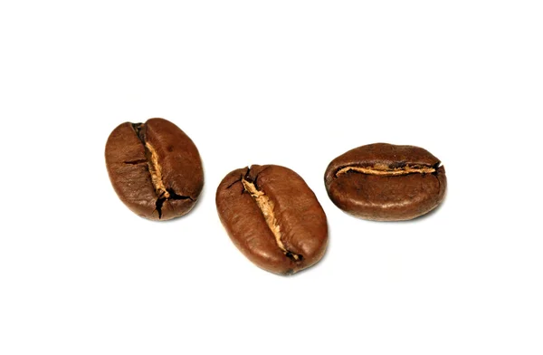Kahve çekirdekleri izole makro çekim — Stok fotoğraf