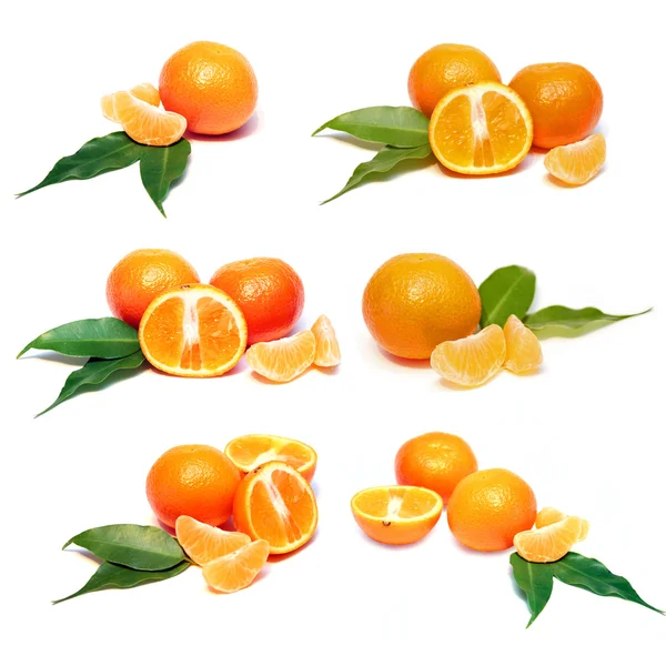 Set of fresh tangerines — Stock Photo, Image