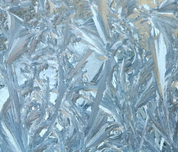 En prydnad av frost — Stockfoto