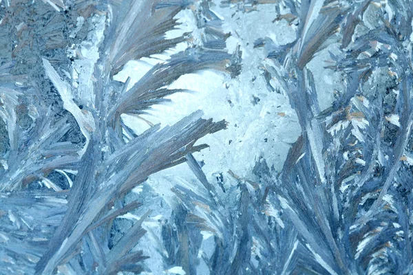 An ornament of frost — Stock Photo, Image
