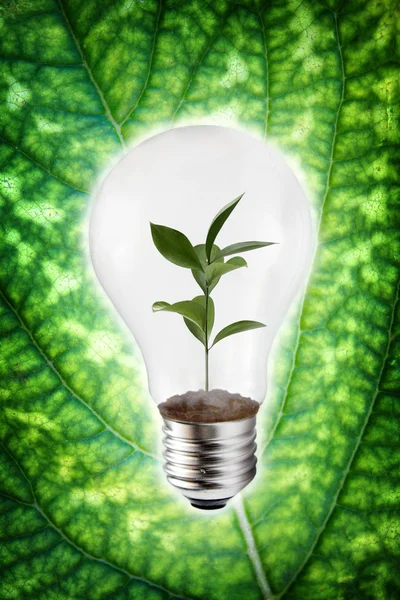 Koncept zelené energie — Stock fotografie
