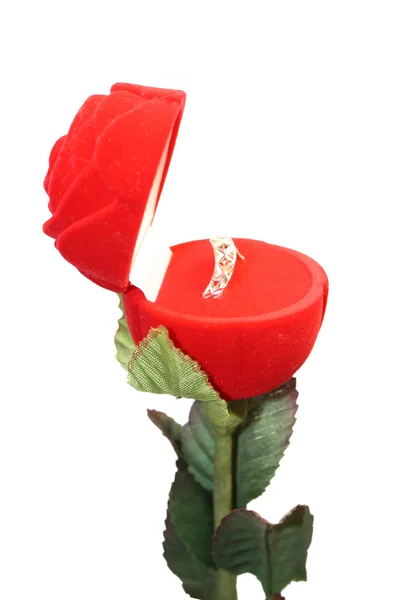 Роза с кольцом внутри — стоковое фото