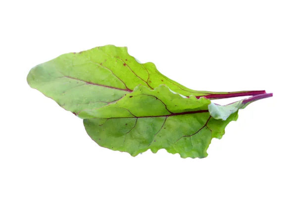 Barbabietola da spinaci isolata — Foto Stock