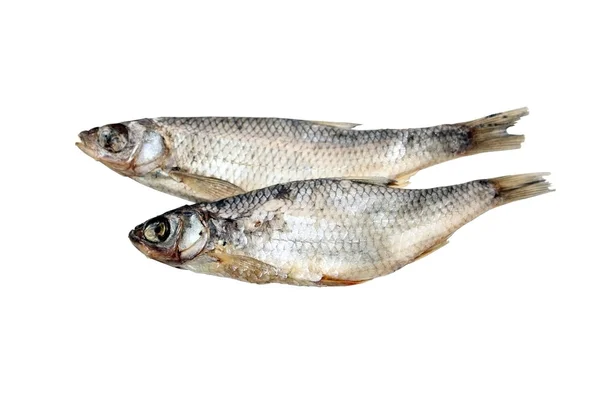 stock image Dried fishes