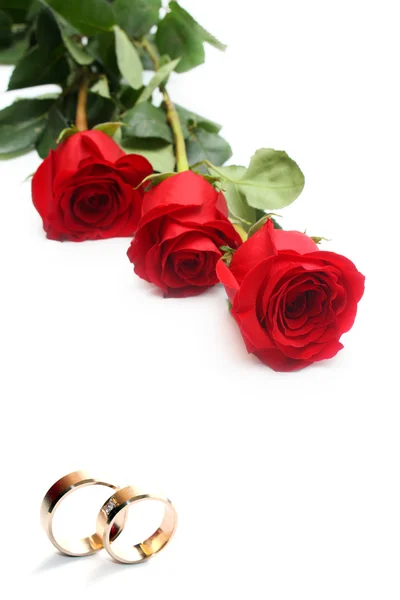Rode rozen en trouwringen — Stockfoto