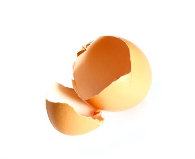 Broken egg shell