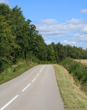 Ormanın yanındaki yol.