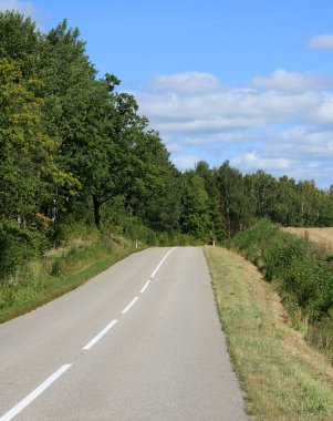 Road near the forest clipart