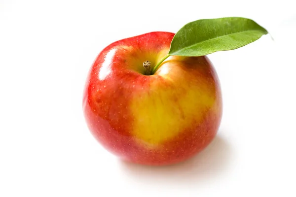 Свежий яблочный крупный план — стоковое фото
