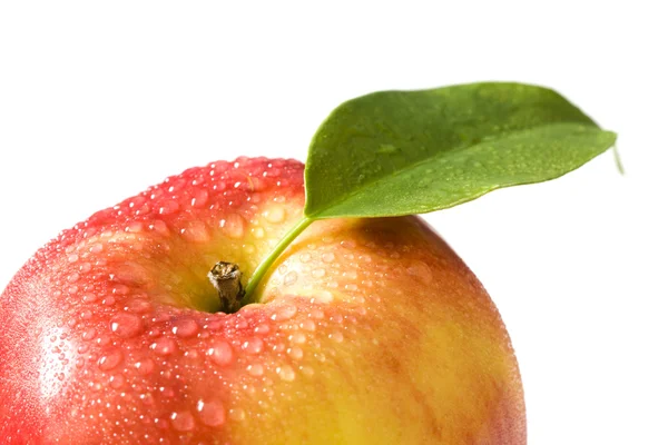 新鮮なリンゴのクローズ アップ — ストック写真