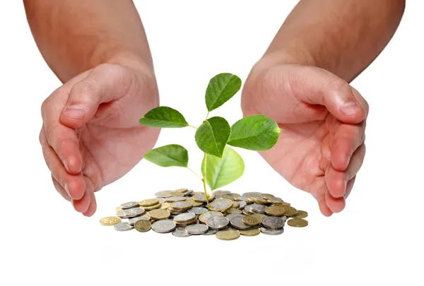 Invest money concept — Stock Photo, Image
