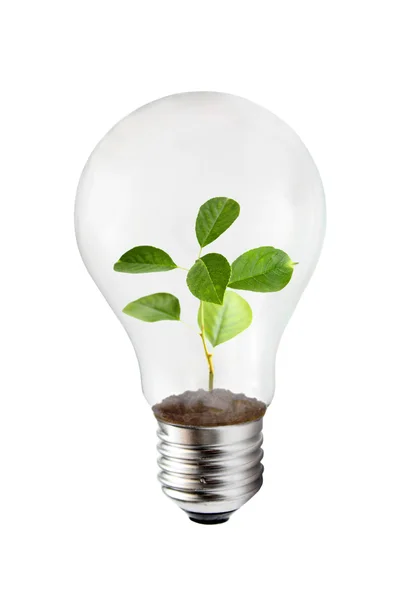 Concept groene energie — Stockfoto
