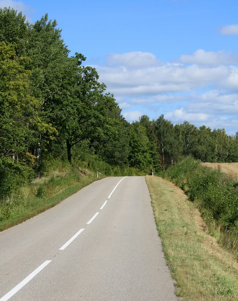 stock image Road near the forest