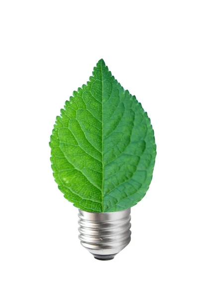 Il concetto di energia verde — Foto Stock