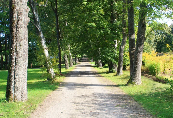 Güzel park