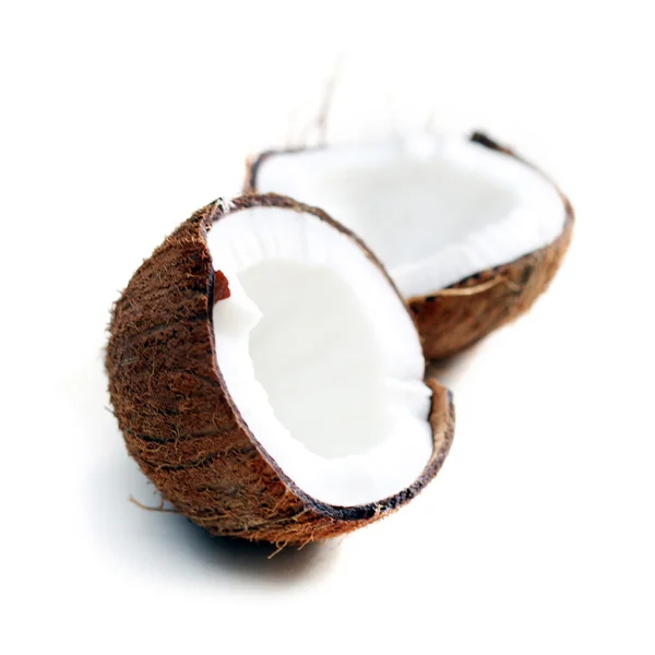 stock image Coconut