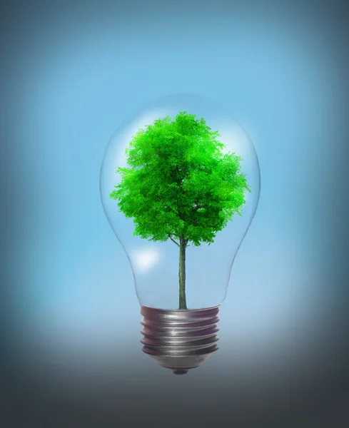 Ökoenergie — Stockfoto