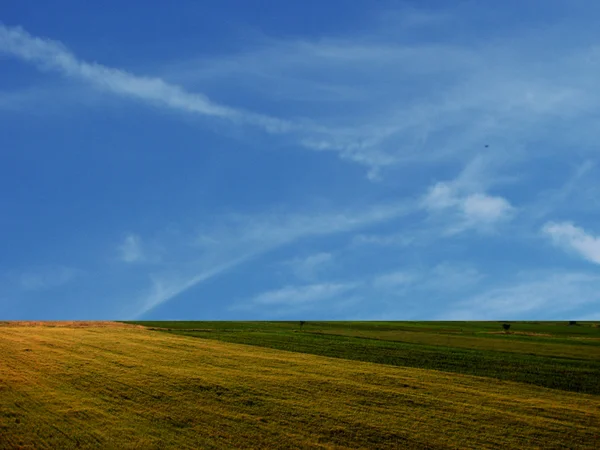 Endless fields — Stock Photo, Image