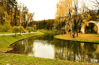Lake in autumn park clipart