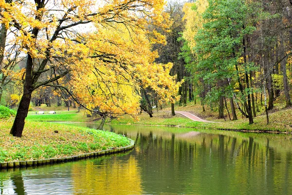 Goldene Reflexion der Bäume im Herbst — Stockfoto