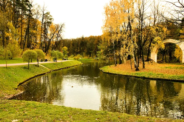 See im Herbstpark — Stockfoto