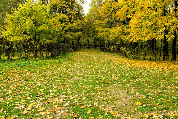 Bellissimo parco autunnale — Foto Stock